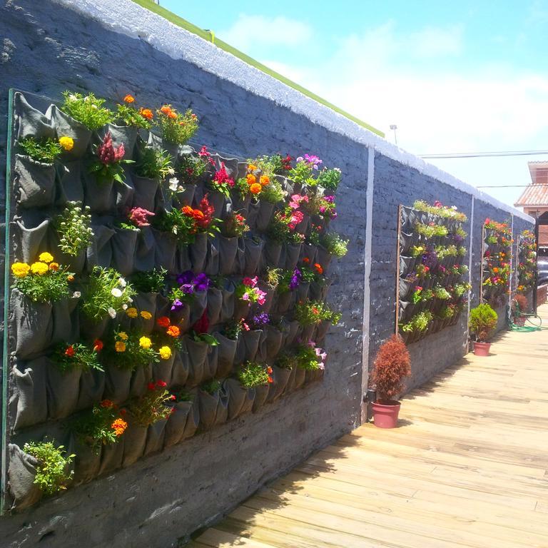 Del Barcito Hostel And Suites Punta del Este Exterior photo