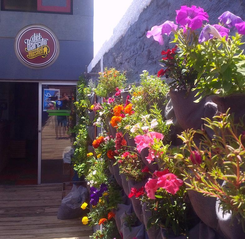 Del Barcito Hostel And Suites Punta del Este Exterior photo